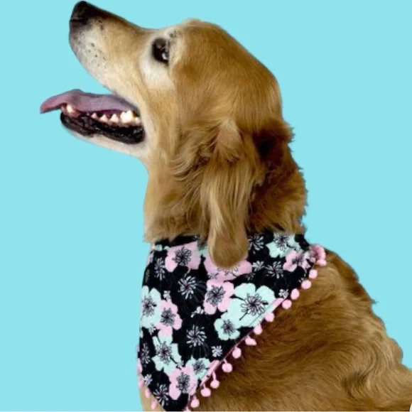 Vibrant Life Floral Bandana - Size M/L - Picture 2 of 7